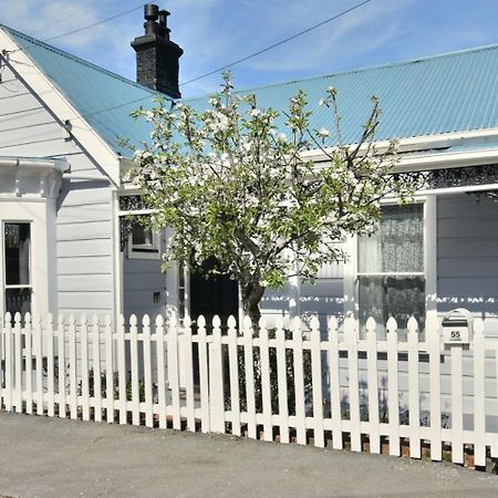 In Dunedin'S Heart, Full House, Full Sun, Full Chill, Why Stay At A Hotel When You Can Afford An Entire House Экстерьер фото