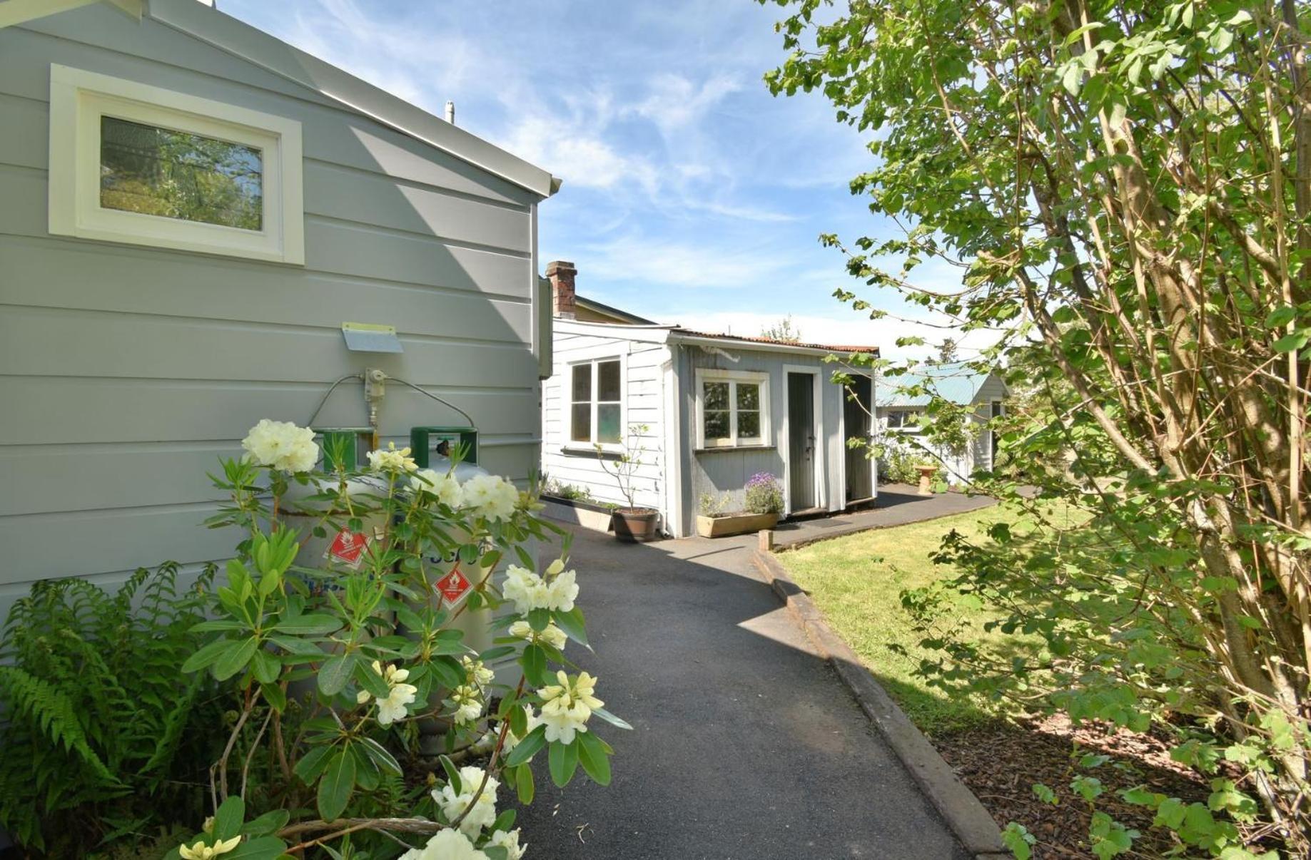 In Dunedin'S Heart, Full House, Full Sun, Full Chill, Why Stay At A Hotel When You Can Afford An Entire House Экстерьер фото