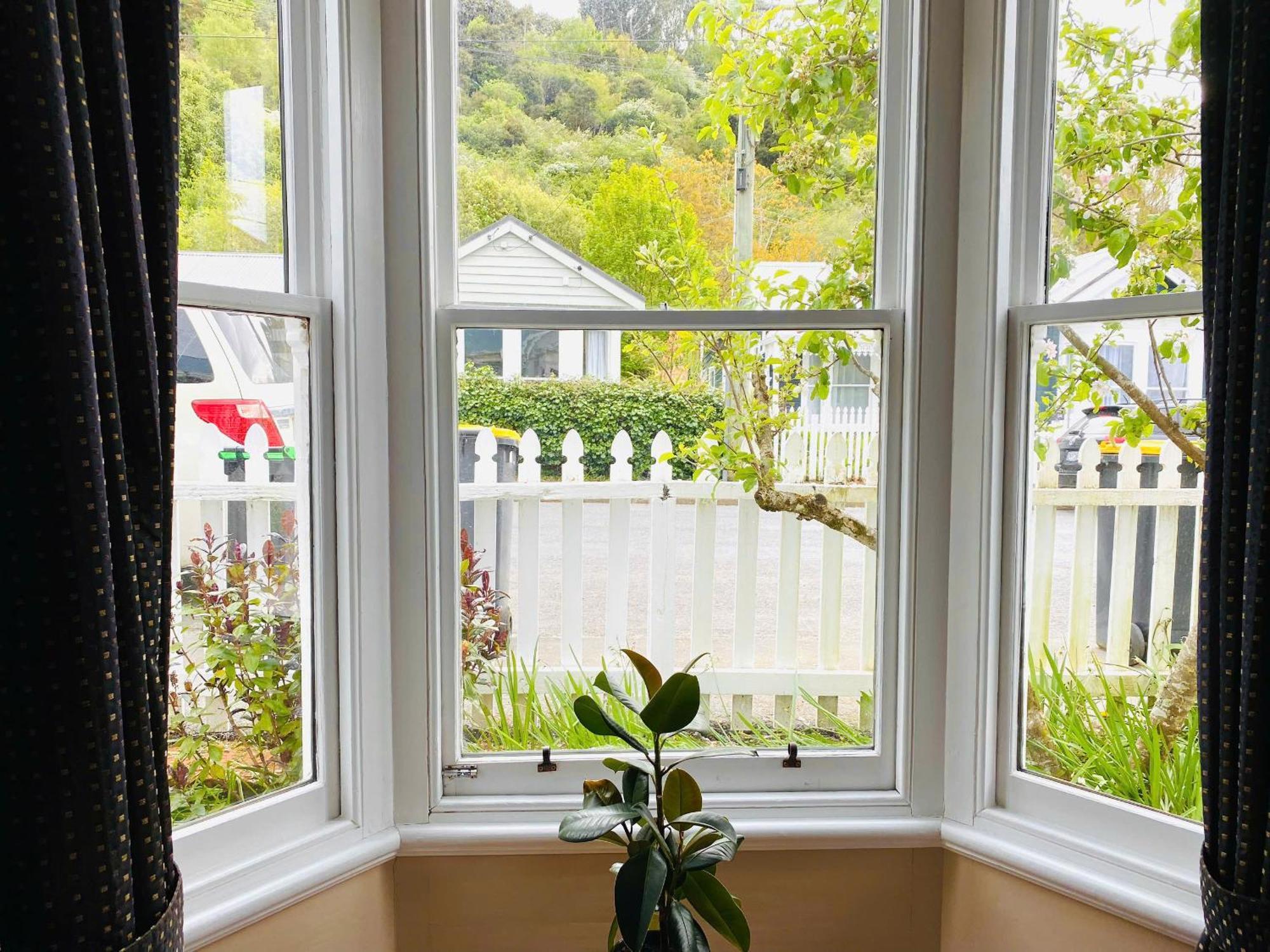In Dunedin'S Heart, Full House, Full Sun, Full Chill, Why Stay At A Hotel When You Can Afford An Entire House Экстерьер фото